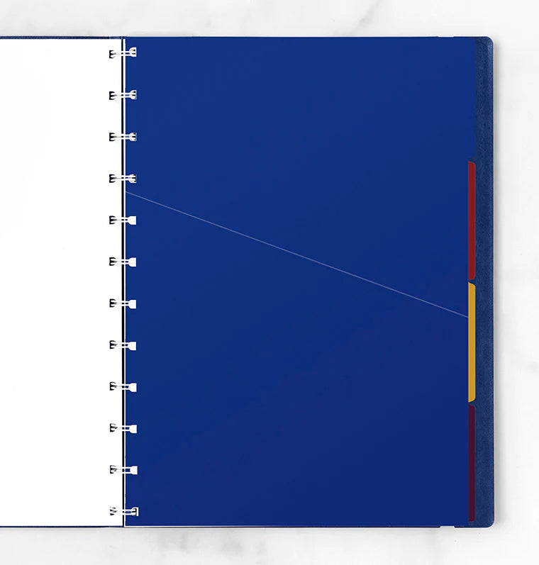 Bright A4 Notebook Dividers by Filofax