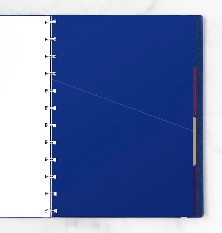 Bright A4 Notebook Dividers | Filofax โ Filofax AP
